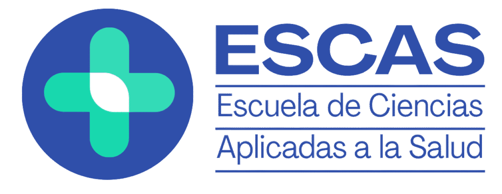 La imagen actual no tiene texto alternativo. El nombre del archivo es: logo-color-transp.png